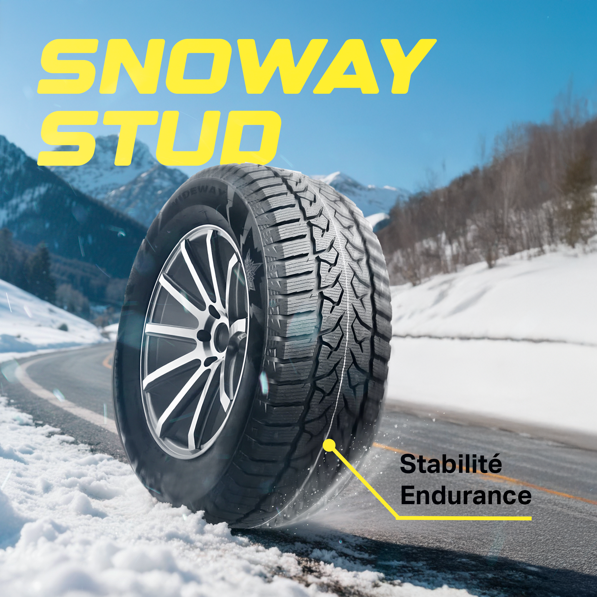 Pneus automobile d'hiver Snoway
